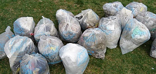 Strandrydding i Mosseregionen